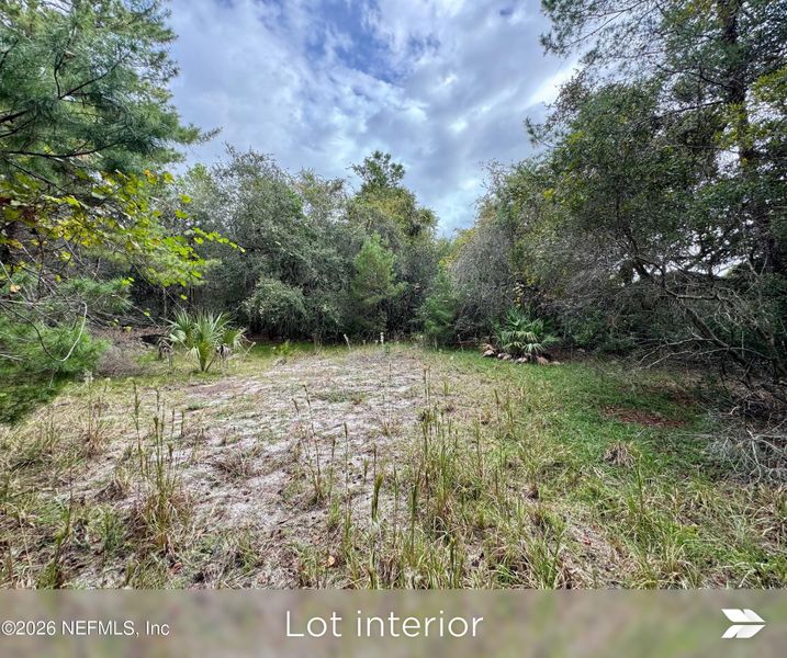 Natural landscape and outdoor views near  in St. Augustine (Image 29).
