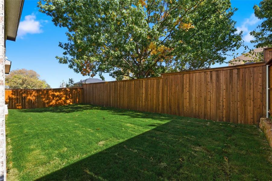 View of fenced backyard