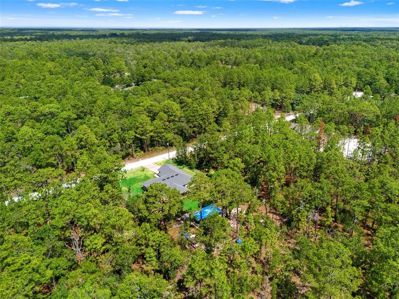 Natural landscape and outdoor views near Royal Highlands in Brooksville (Image 48).