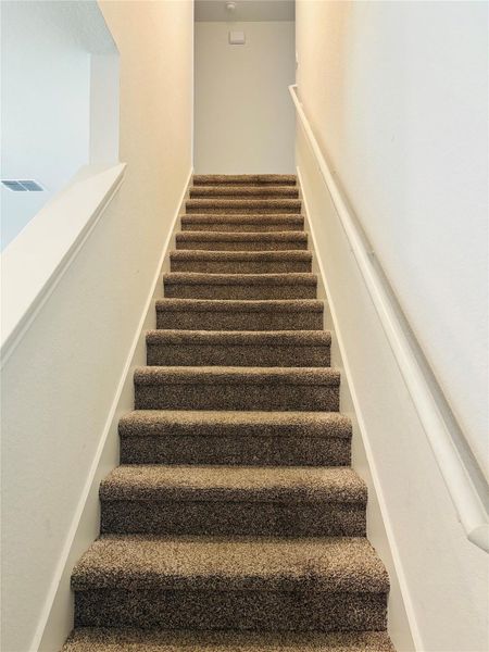 Plush carpeted ascending stairs. Plush carpeted ascending stairs.