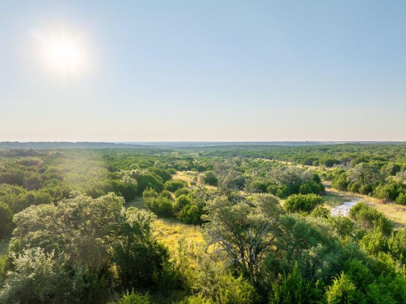 Aerial view of a heavily wooded area