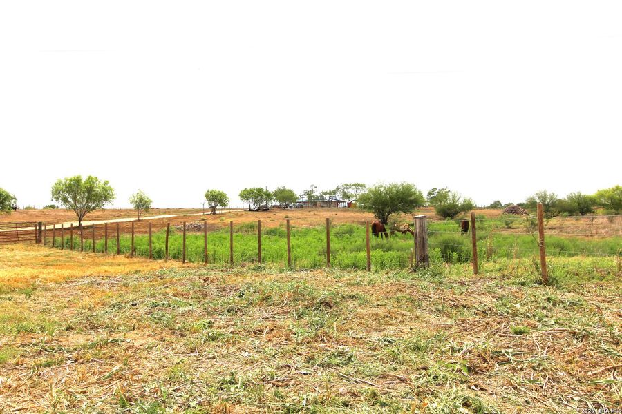 Natural landscape and outdoor views near  in Floresville (Image 40).