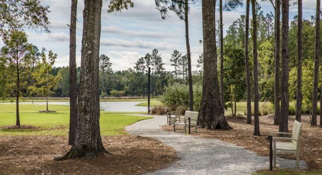 Natural landscape and outdoor views near Sweetgrass at Summers Corner in Summerville (Image 12).