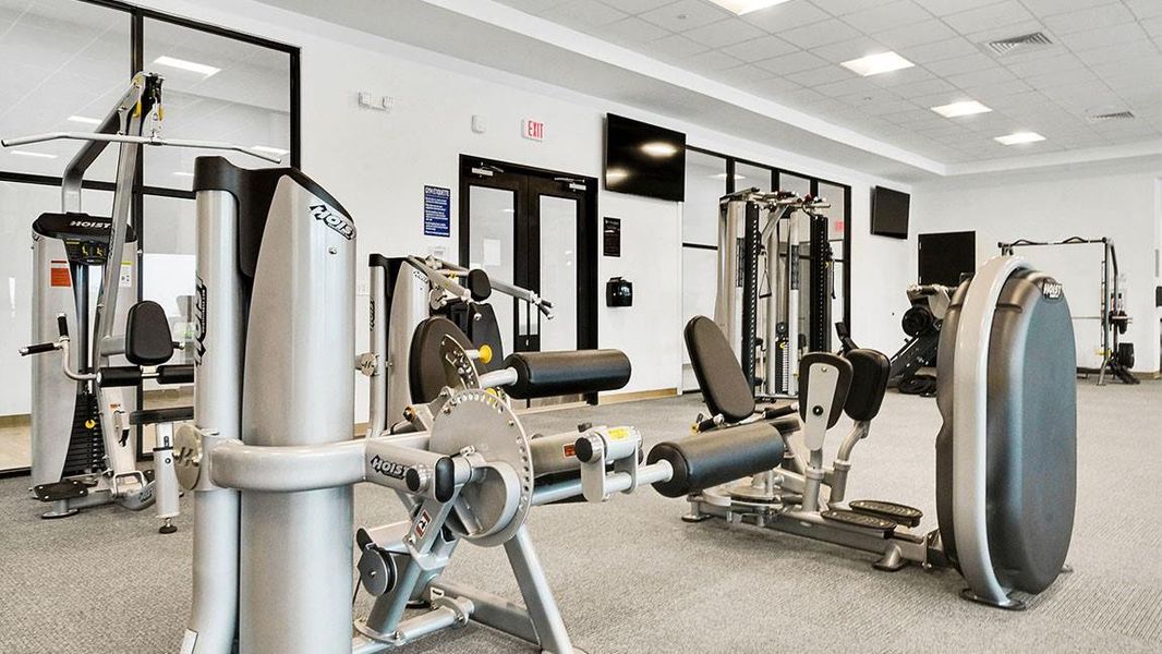 *Images and 3D tour are for illustration only and options may vary from home as built.