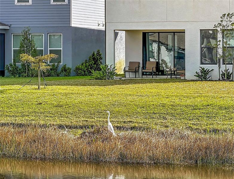 Exterior details and patio area of a home in , Nokomis (Image 24).