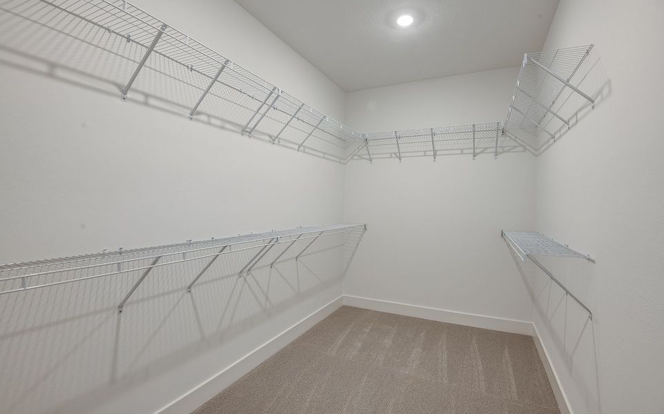 Spacious, unfurnished interior of a new home in Vida's Way, Wesley Chapel (Image 17).