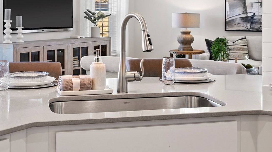 Chateau TH EI Stainless Sink& Pull Out Stainless Faucet