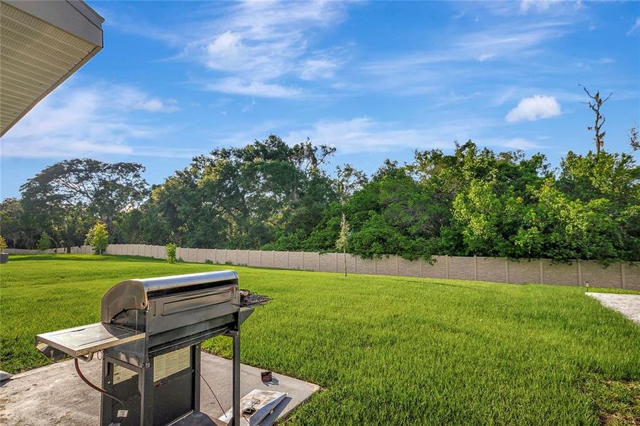 Exterior details and patio area of a home in , Tampa (Image 4). Exterior details and patio area of a home in , Tampa (Image 4).