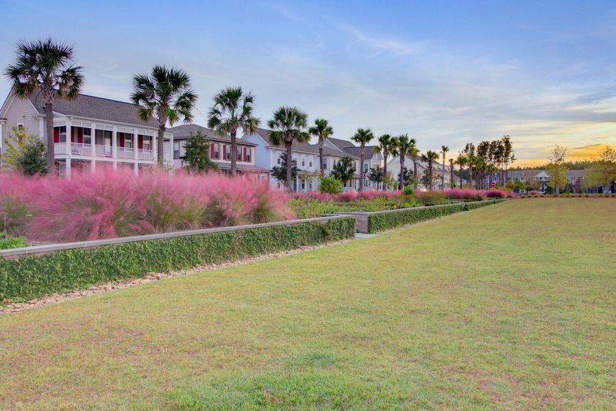 Community amenities in Nexton - Midtown - The Village Collection, Summerville (Image 39).