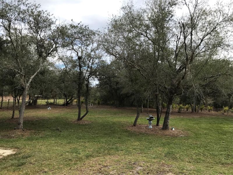 Natural landscape and outdoor views near in Okeechobee (Image 13). Natural landscape and outdoor views near in Okeechobee (Image 13).