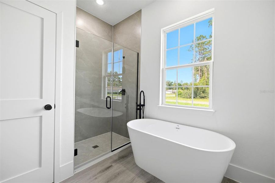 Furnished interior view inside a new home in , Ocala (Image 8). Furnished interior view inside a new home in , Ocala (Image 8).