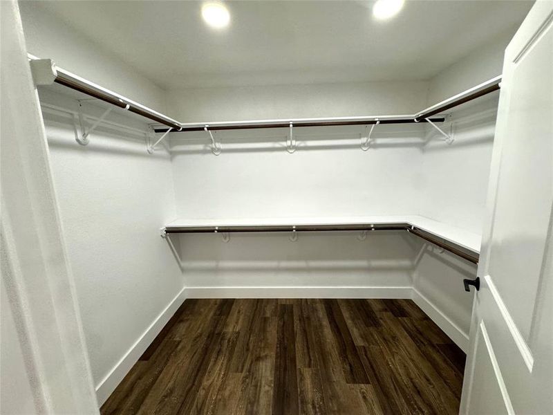 Walk in closet featuring dark wood-type flooring