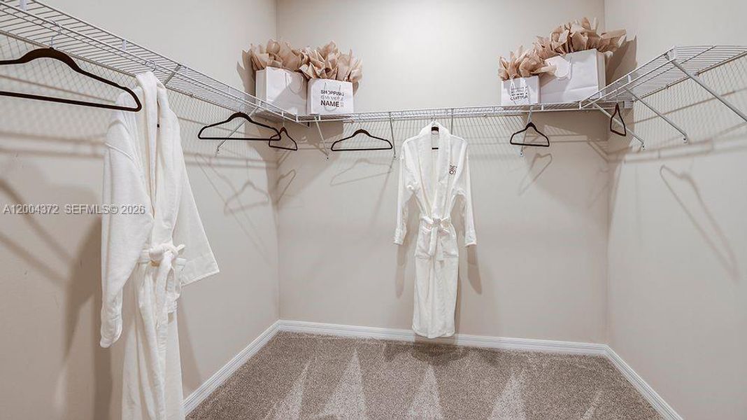 Representative Photo