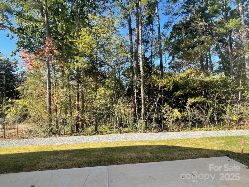 Natural landscape and outdoor views near Arbor Village in Matthews (Image 26).
