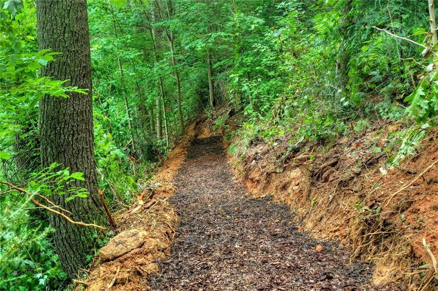Natural landscape and outdoor views near  in Ellijay (Image 61).
