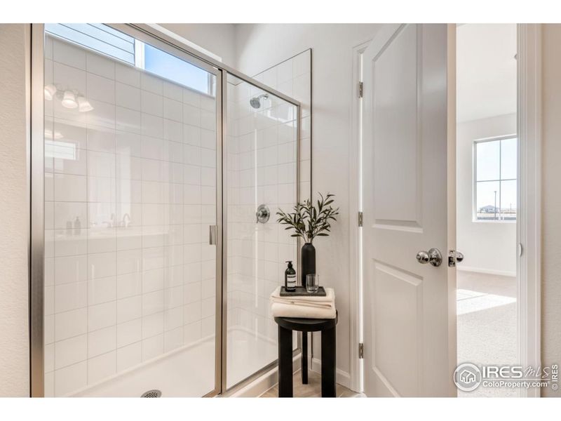 Primary bathroom shower Primary bathroom shower