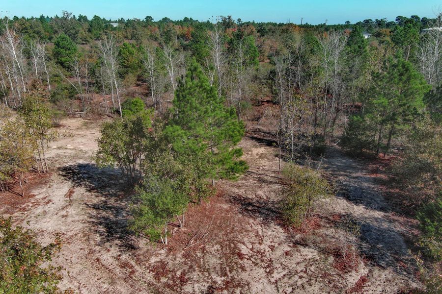 Natural landscape and outdoor views near  in Bastrop (Image 31).