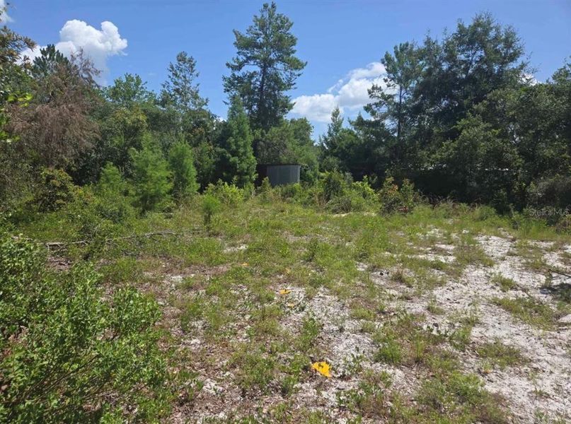 Natural landscape and outdoor views near  in Paisley (Image 3).
