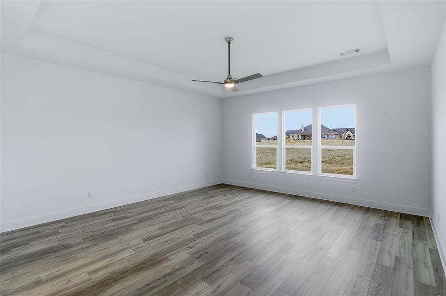 Spare room featuring a tray ceiling, a ceiling fan, and light wood-style floors
