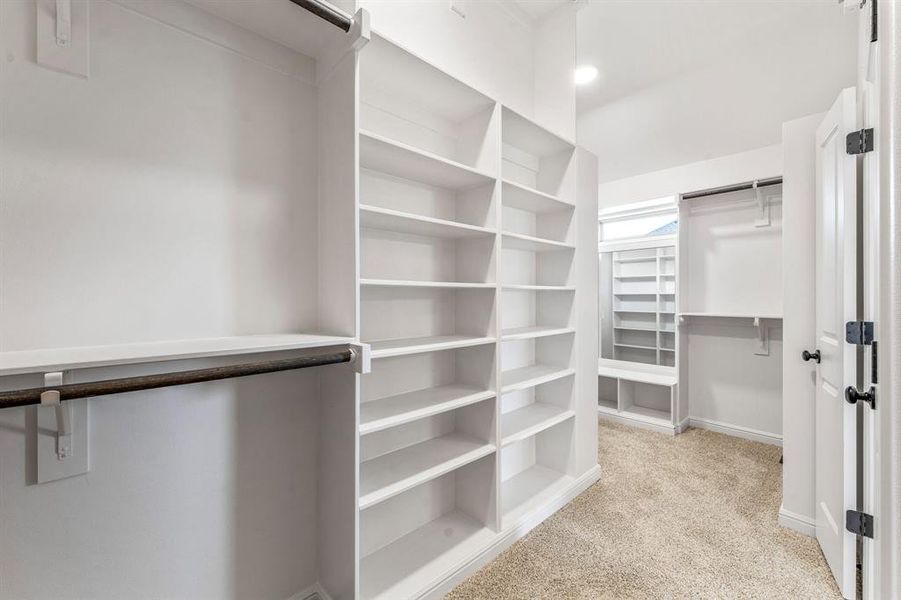 Walk in closet featuring light carpet