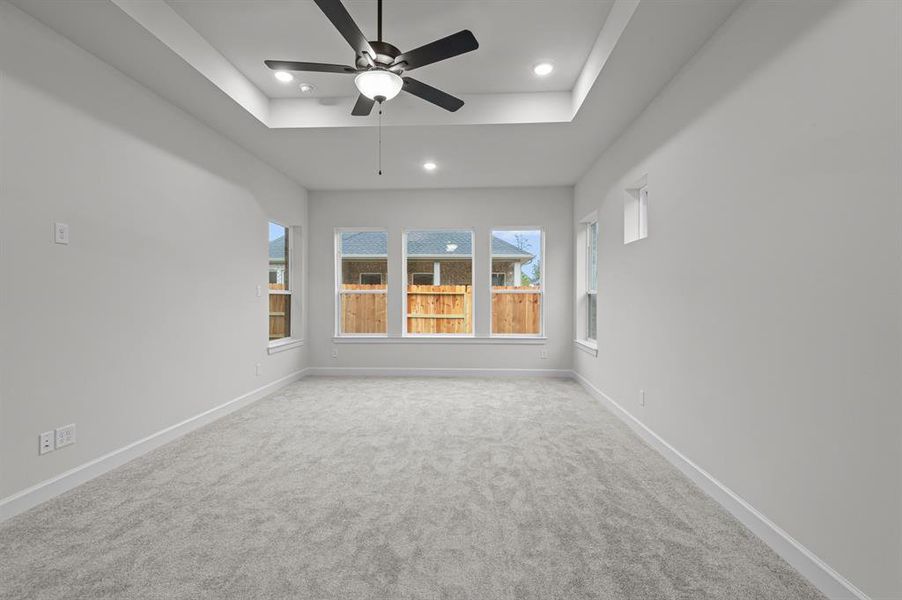 EXAMPLE PHOTO: Another view of Master with tray ceiling