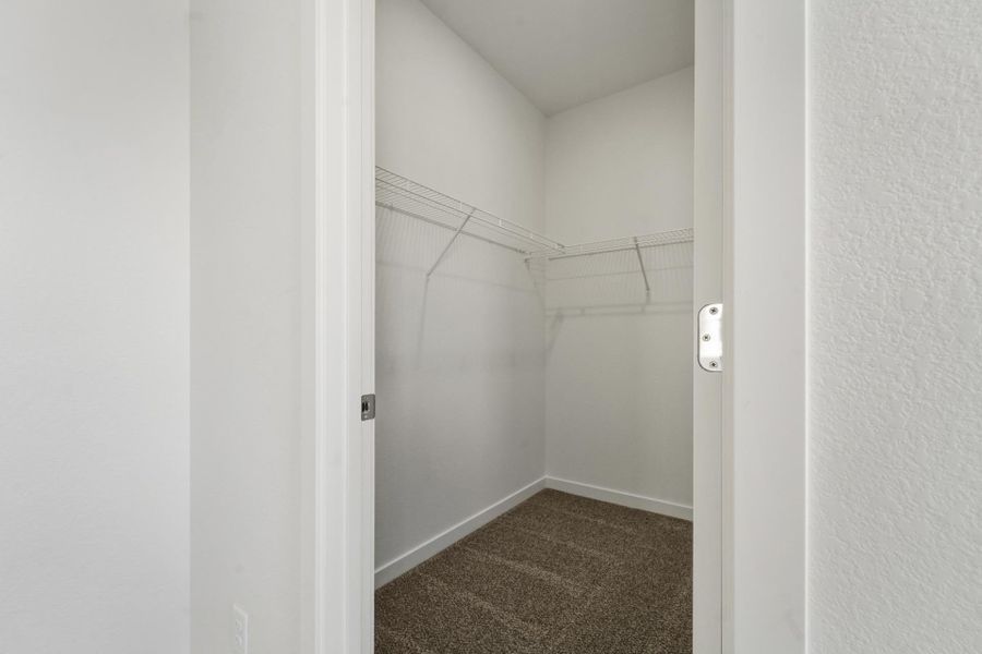 Spacious, unfurnished interior of a new home in Union Colony West, Greeley (Image 24).