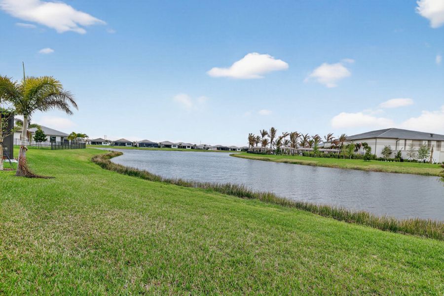 37-web-or-mls-3A5A0489