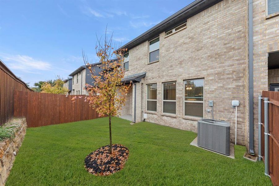 26. 2654 Copper Breaks - Back 26. 2654 Copper Breaks - Back