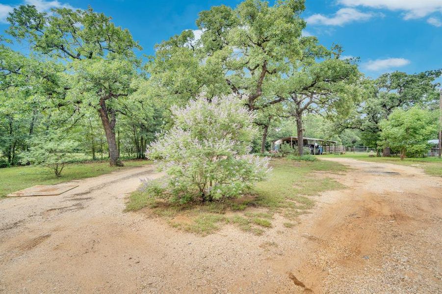 Natural landscape and outdoor views near  in Cleburne (Image 22).