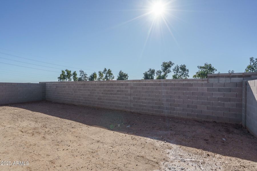 23) BACKYARD 23) BACKYARD