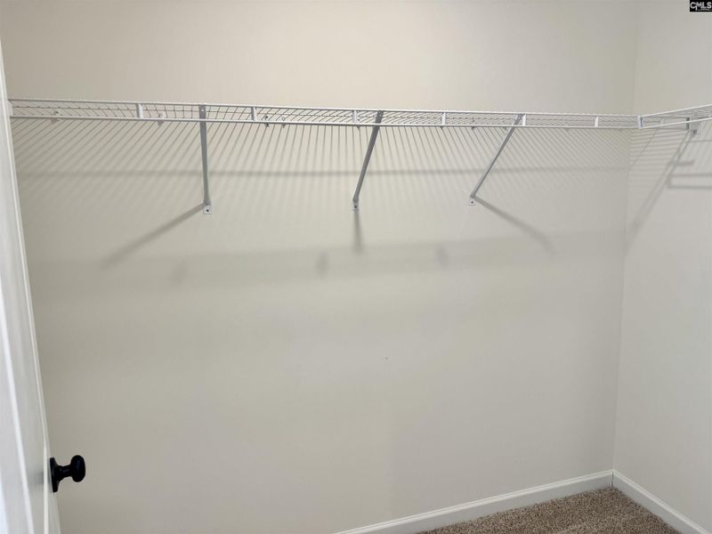 Spacious, unfurnished interior of a new home in Boykin Hills, Chapin (Image 34).