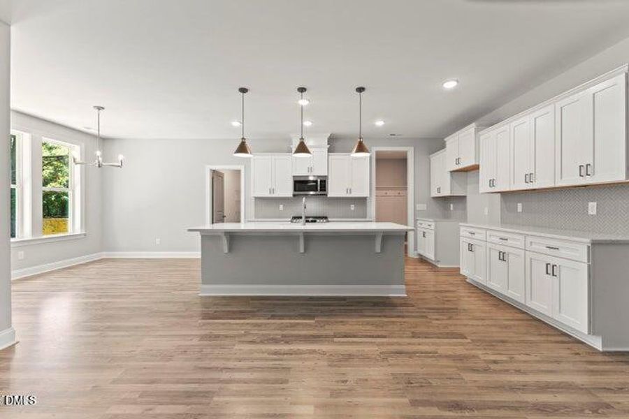 REPRESNTATIONAL PHOTO4