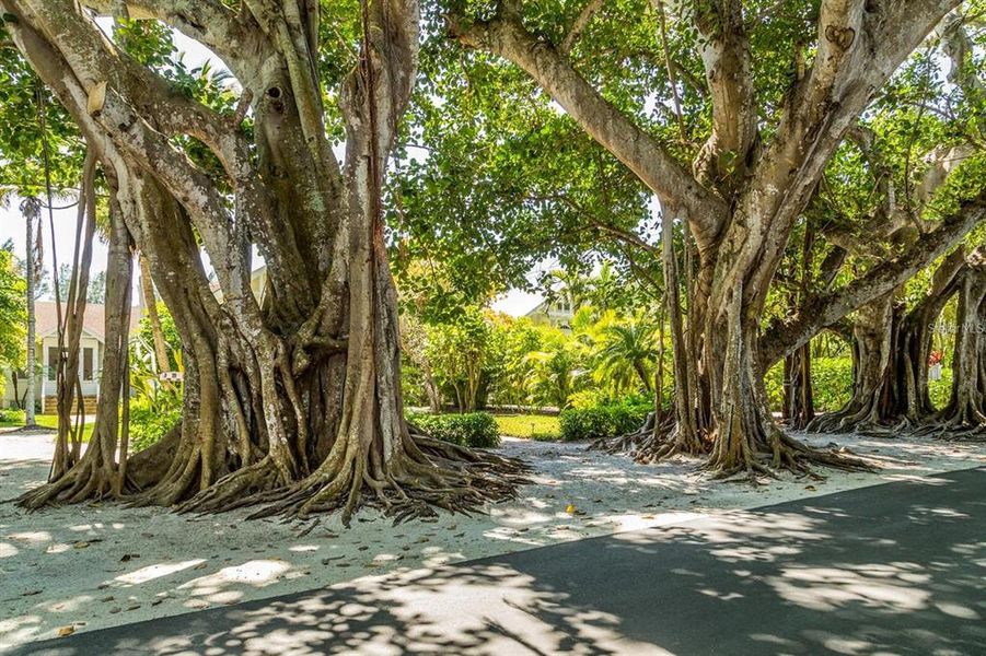 Image 69 of a home in .