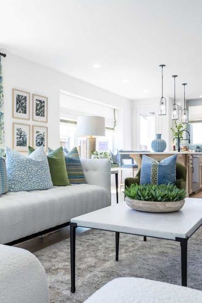 Representative Family Room - some options shown