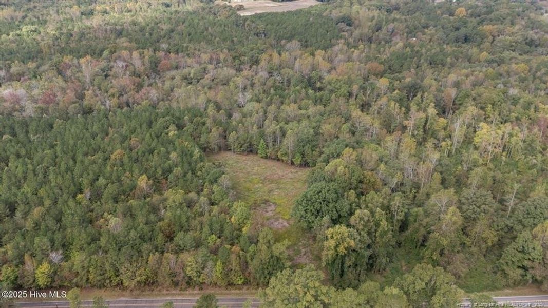 1435 Pineywood Church Road - 9.13 Acres 1435 Pineywood Church Road - 9.13 Acres