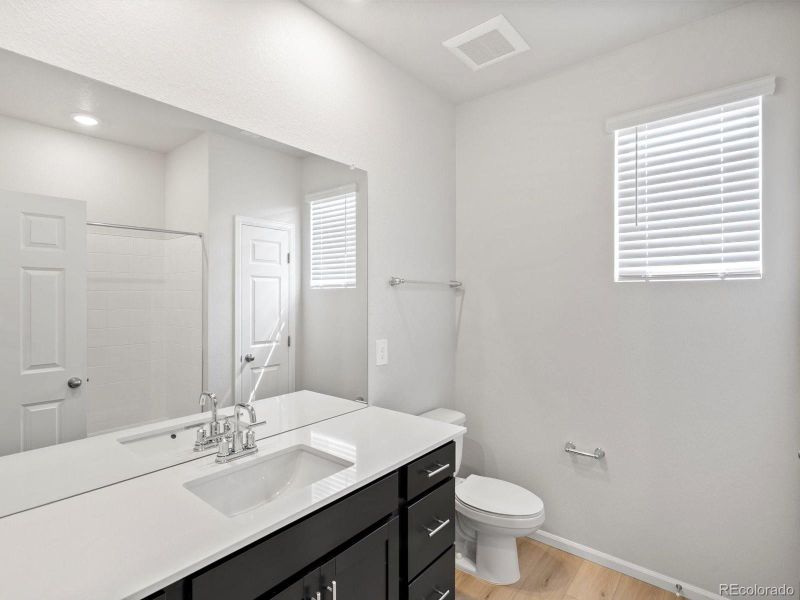 Furnished interior view inside a new home in Poudre Heights: The Alpine Collection, Windsor (Image 7).