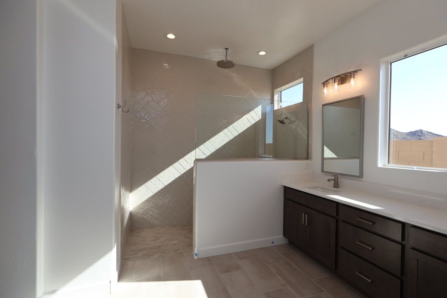 Owner's Bath