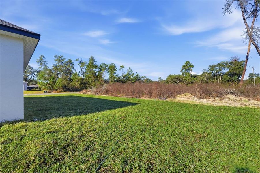 Natural landscape and outdoor views near  in Ocala (Image 31).