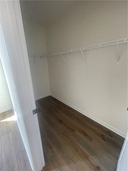 Spacious, unfurnished interior of a new home in Springwood Grove, Central (Image 11). Spacious, unfurnished interior of a new home in Springwood Grove, Central (Image 11).