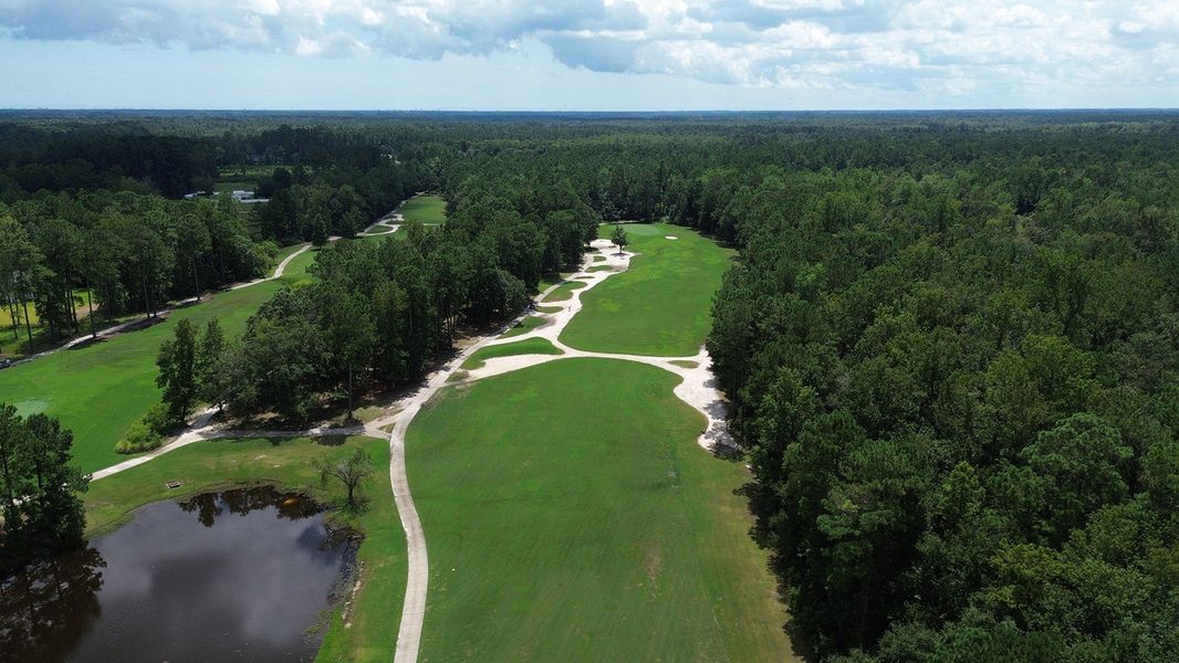 Natural landscape and outdoor views near The Preserve at Shaftesbury Glen in Conway (Image 28).