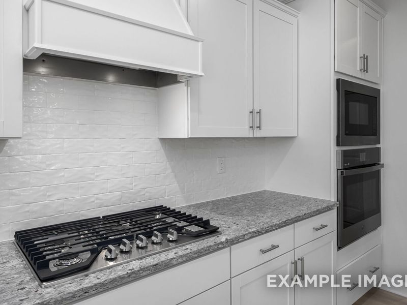 Representative interior finishes for a home built from the The Gavin A by Davidson Homes LLC in Gregory Village, Lillington (Image 20).