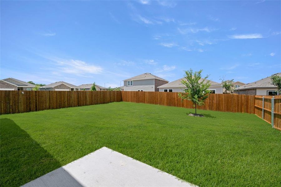 4924 McCoy- Back-1 4924 McCoy- Back-1