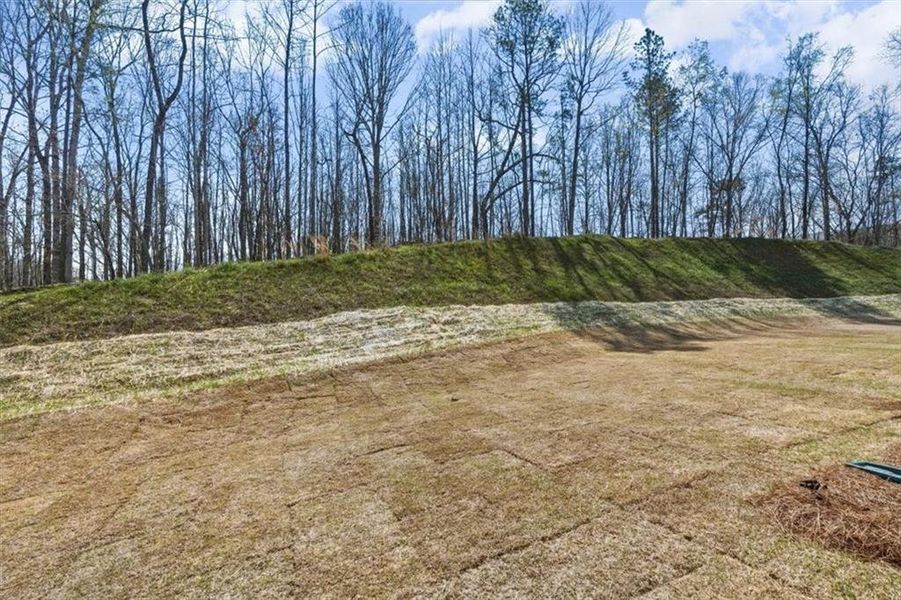 Natural landscape and outdoor views near  in Woodstock (Image 50).