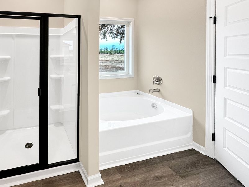 Furnished interior view inside a new home in Tibet Road at Sassafras, Allenhurst (Image 9).