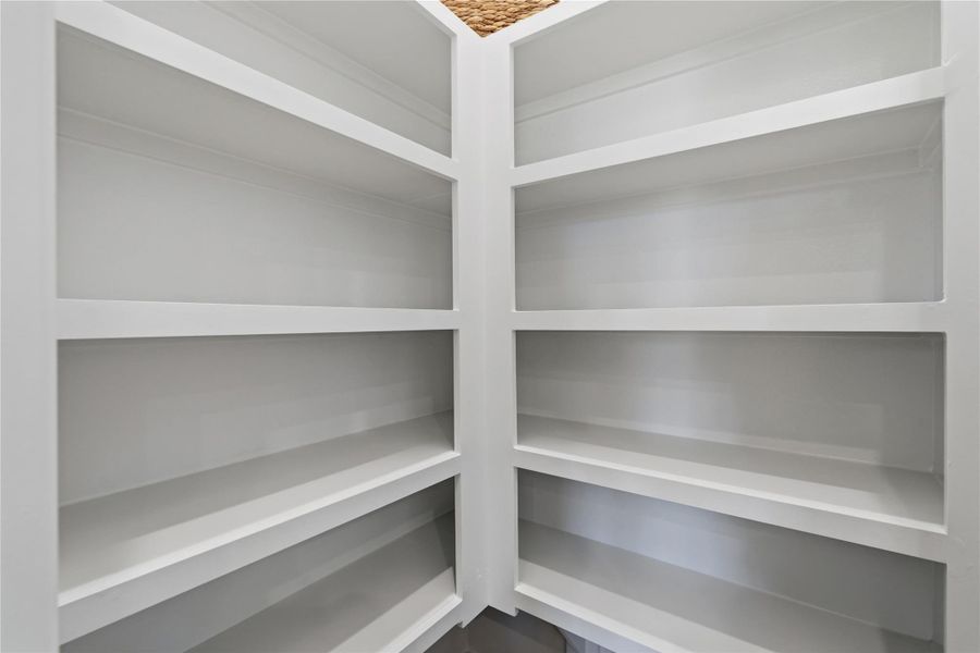 oversized walk in pantry with ample storage