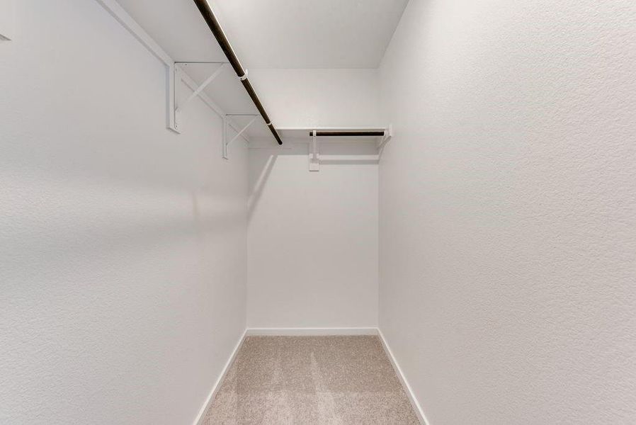 Walk in closet featuring carpet floors