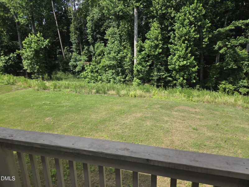 Backyard Backyard