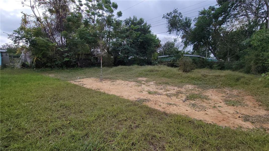 Natural landscape and outdoor views near  in Daytona Beach (Image 22).