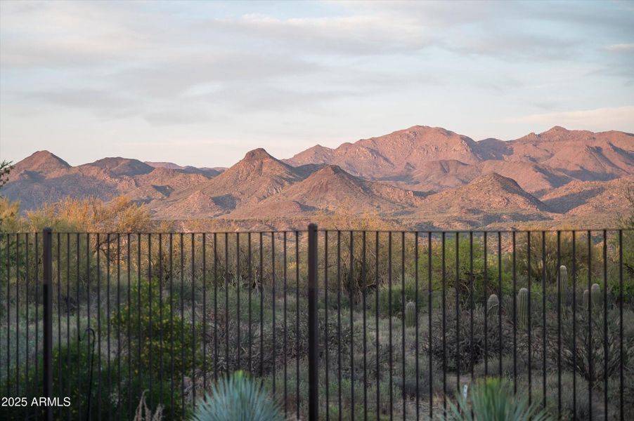 Purple Mountain Majesty