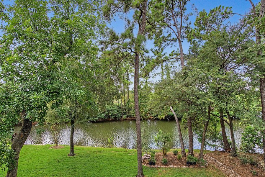 Natural landscape and outdoor views near  in The Woodlands (Image 43).